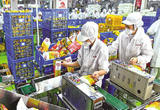 广西奋力冲刺一季度经济“开门红”