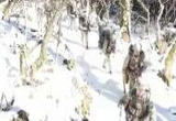 西藏 穿密林 闯雪海 边防官兵巡逻祖国边防线