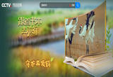 走进盐城——守护丹顶鹤（下）