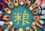 为了粮食梦种子梦