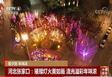  湖北武汉：赏花逛展年味浓 文旅市场人气旺