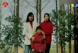 双胞胎姐妹35年后终相认