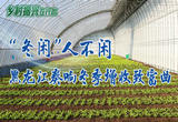 “冬闲”人不闲 黑龙江奏响冬季增收致富曲