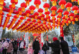山东：精彩庙会 烟火大集
