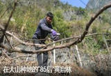 在大山种地的“85后”黄启林