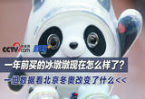 北京冬奥一周年：从冬季走向四季