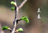 癸卯兔年 “一年两头春”
