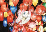 庆元宵  赏花灯