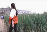 美丽乡村 春游季