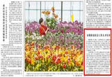 安徽推进社会工作人才培养