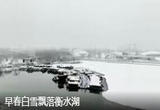 早春白雪飘落衡水湖