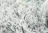 陕西：雪后秦岭 冰瀑雾凇齐现