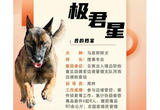 首批“功勋犬”，来了！