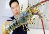 暖暖的味道 “大个儿”海鲜滋味妙