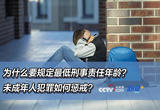 12岁男孩性侵同岁脑瘫亲戚免于刑罚 未成年人犯罪如何惩戒？