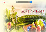 威远——穹窿云雾开 果甜茶香来