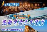 流动中的广东活力——写在2023春运结束之际