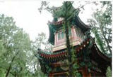 香山秘境——亭中世界（中）