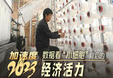 加速度2023丨数据看“小细胞”背后的经济活力