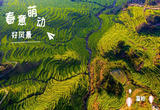 江西：春意萌动好风景