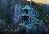 美丽乡村，雪后的三峡古枫园