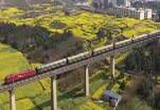 列车穿越花海 滇黔跨省旅游专列开行